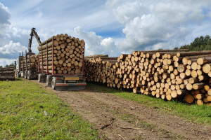 Woodlaast OÜ Saematerjal, puitmaterjali müük, puitlauad