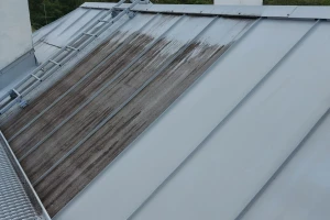 Empor OÜ Puhastusteenused, katuse pesemine, katuse hooldus, katuse pesu